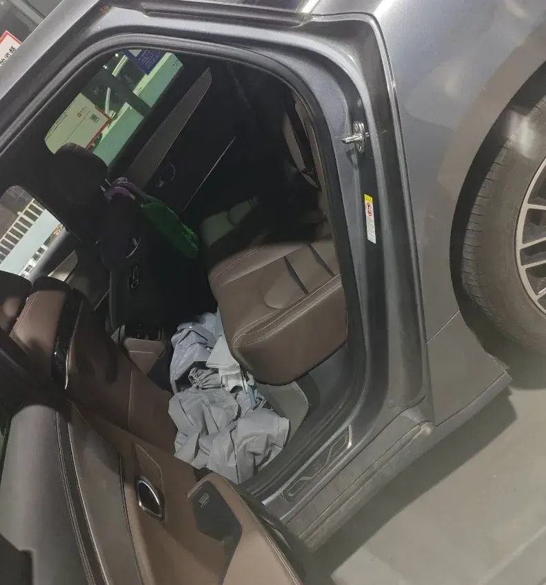 2021 BYD HAN thumbnail 4