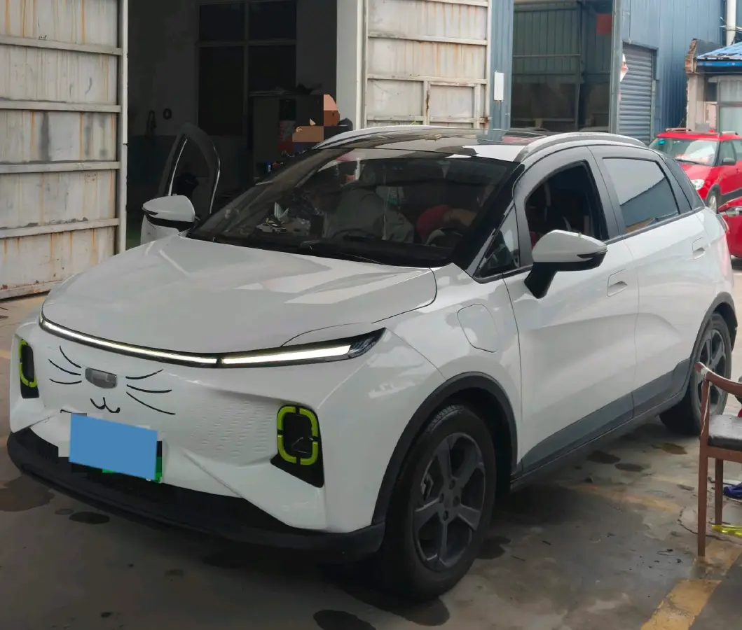2022 Geometry E BEV 39.4KWH