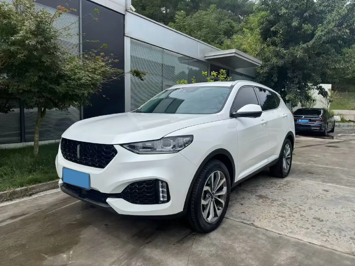 2018 WEY VV6 2.0T 197HP L4 7DCT