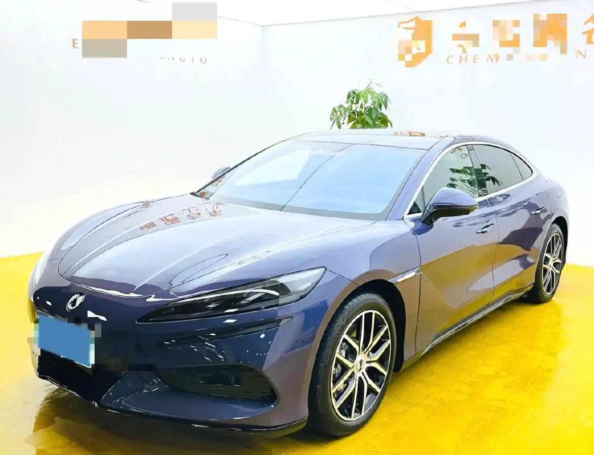 2024 Denza DenzaZ9 BEV 100KWH