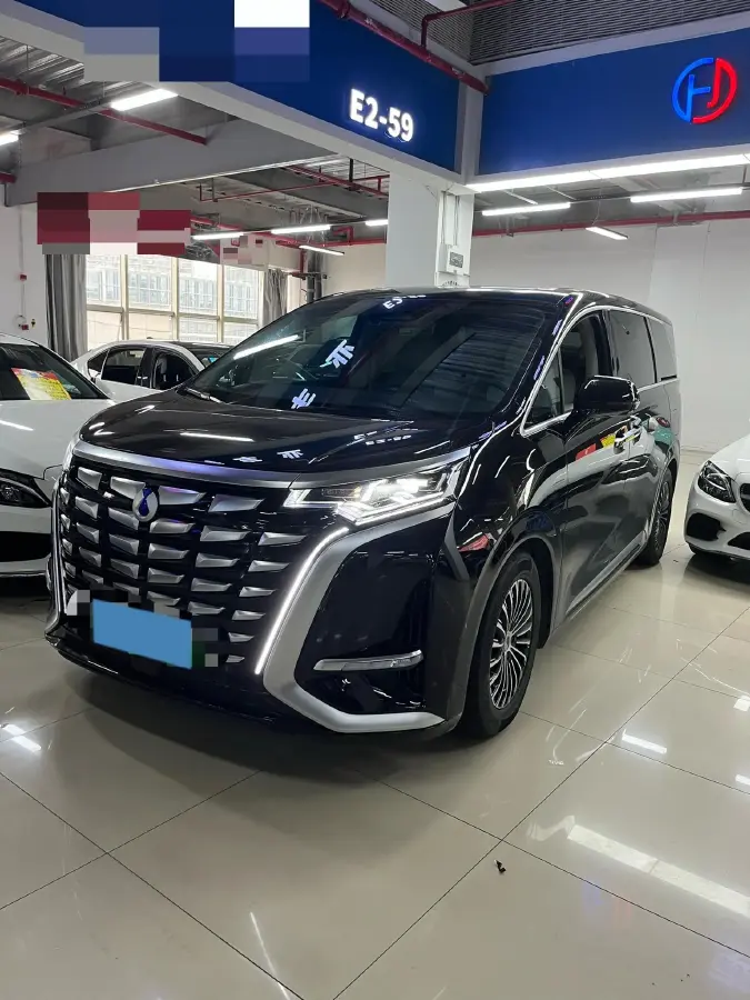2024 Denza D9 1.5T 139HP L4 E-CVT PHEV 20.39KWH
