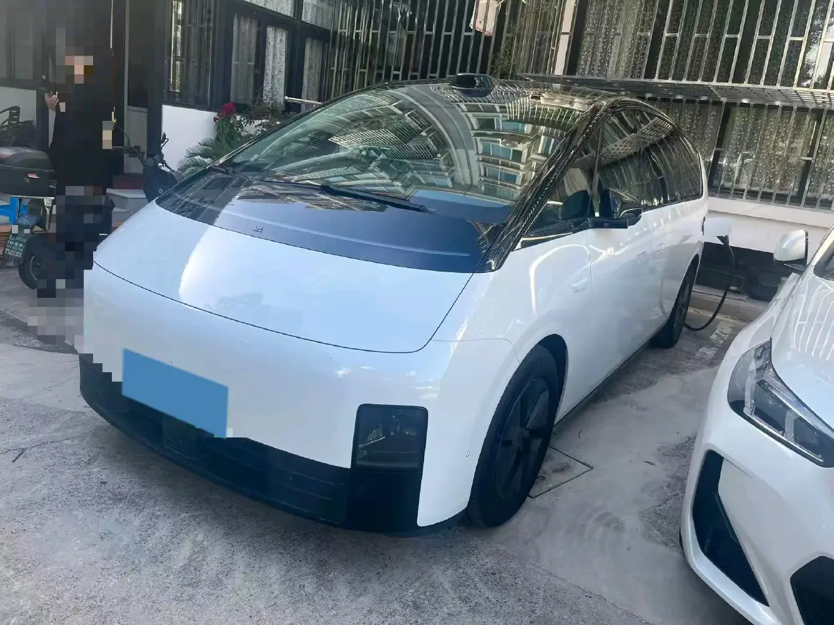 2024 Li MEGA BEV 102.7KWH