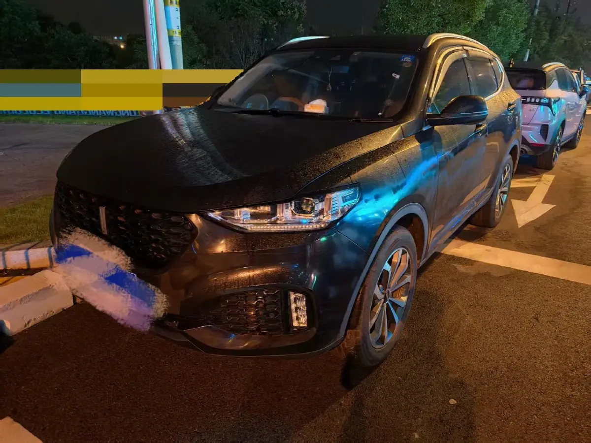 2018 WEY VV6 2.0T 197HP L4 7DCT