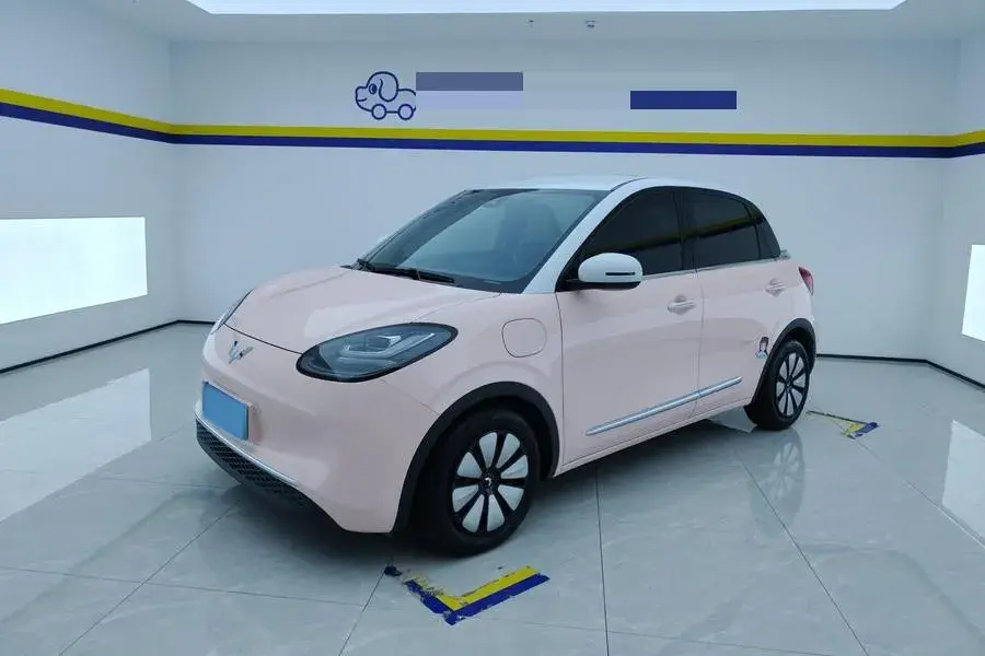 2023 WuLing BinGuo BEV 31.9KWH