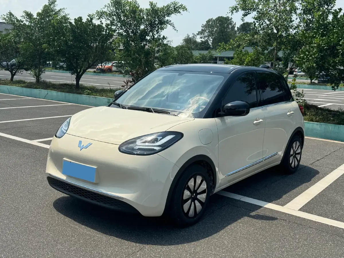 2025 WuLing BinGuo BEV