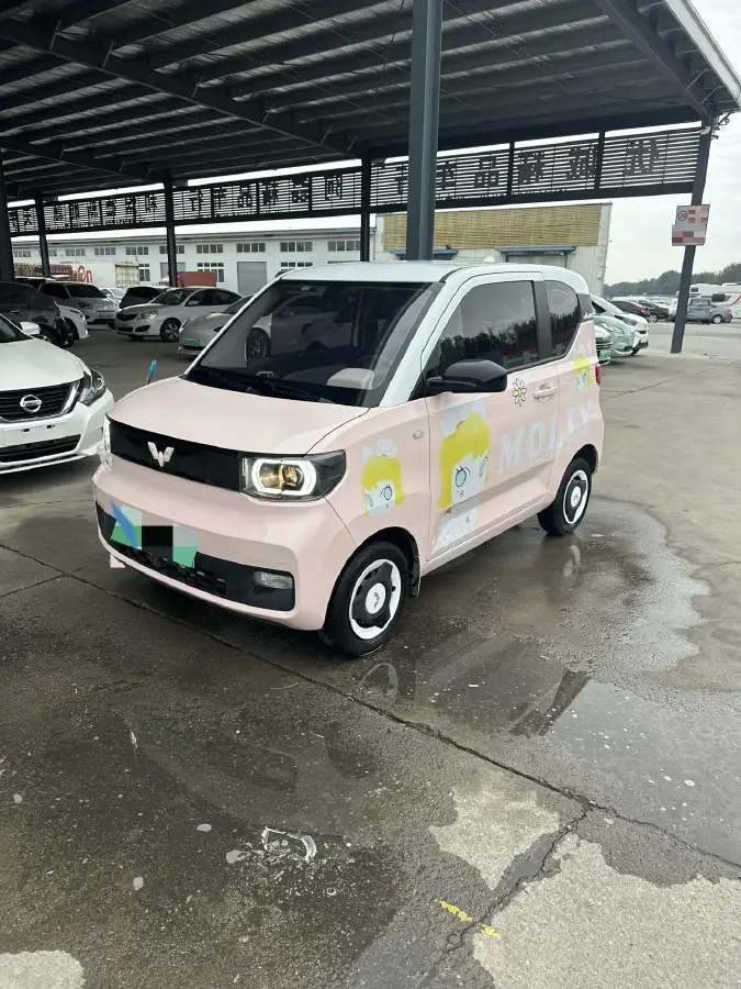 2021 WuLing HongGuang MINI EV BEV 9KWH