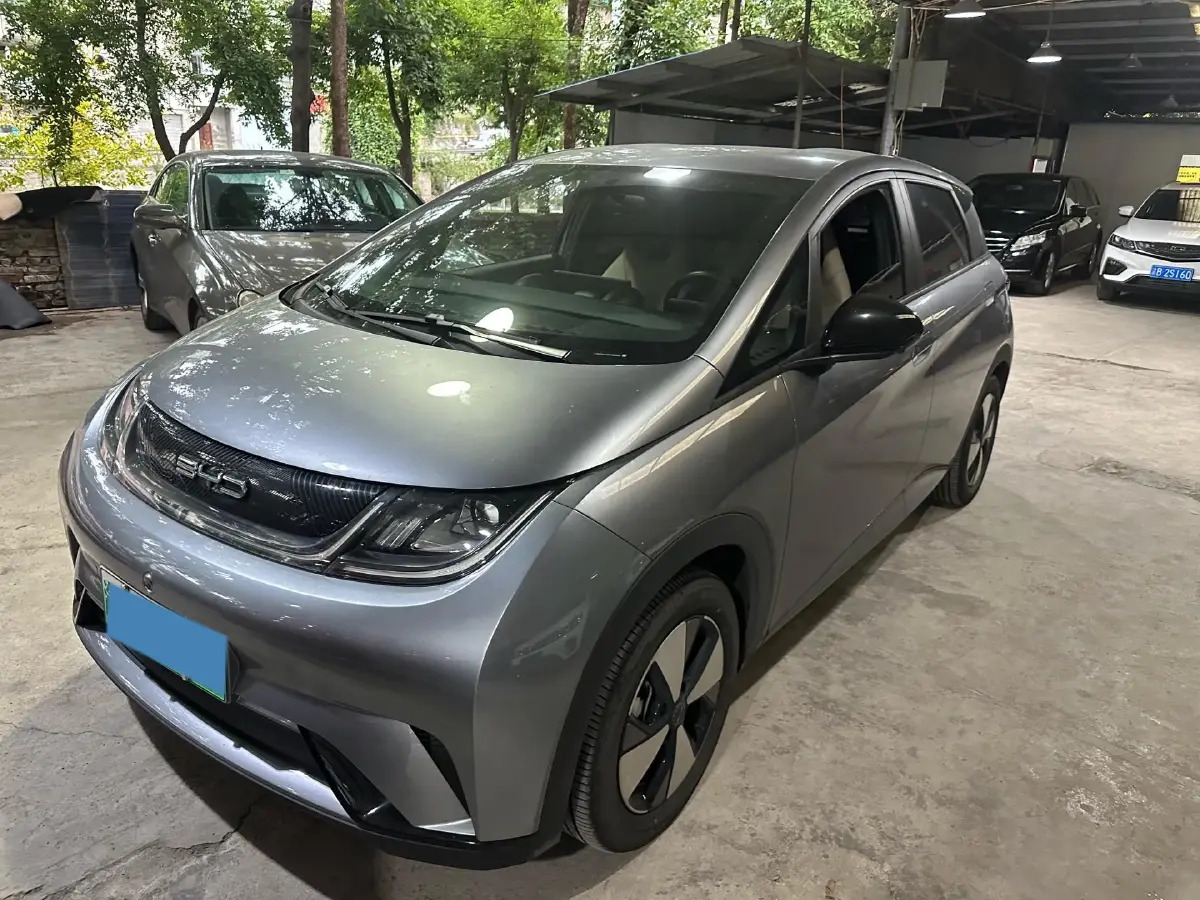 2023 BYD Dolphin BEV 44.928KWH