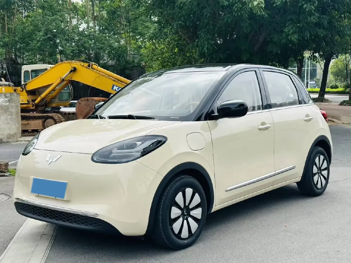 2025 WuLing BinGuo BEV