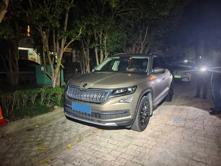 2018 SKODA KODIAK view 1