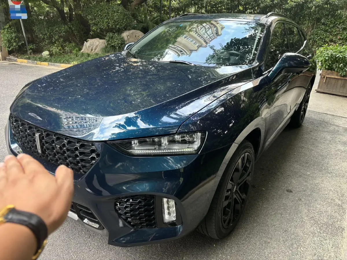 2019 WEY VV7 2.0T 227HP L4 7DCT