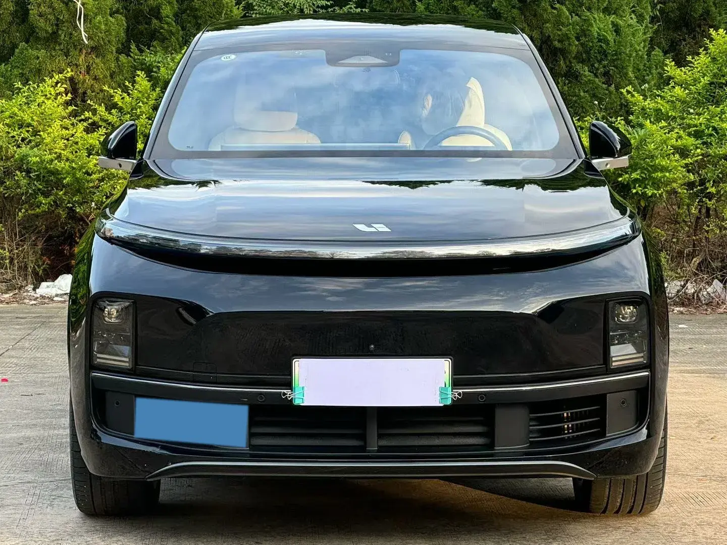 2023 LI L9 thumbnail 2