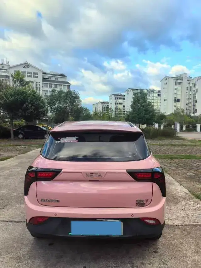 2021 NETA V thumbnail 4