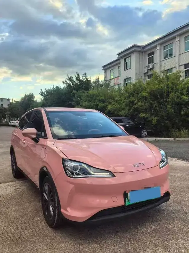 2021 NETA V thumbnail 3