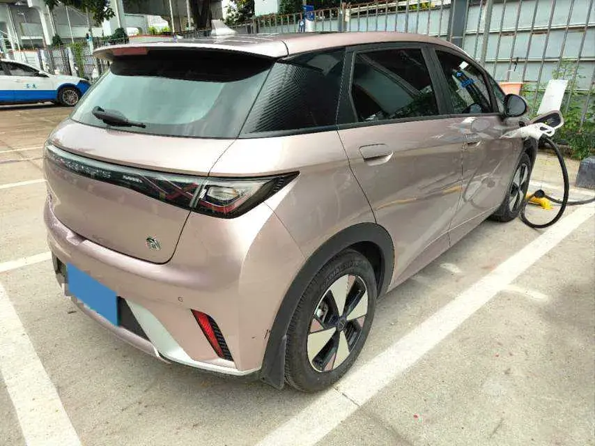 2023 BYD DOLPHIN thumbnail 2