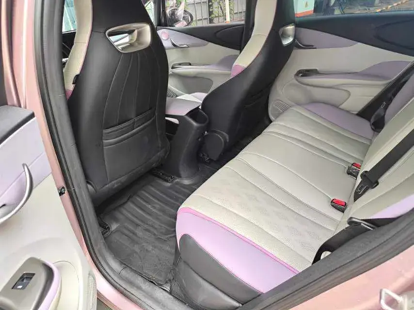 2023 BYD DOLPHIN thumbnail 4