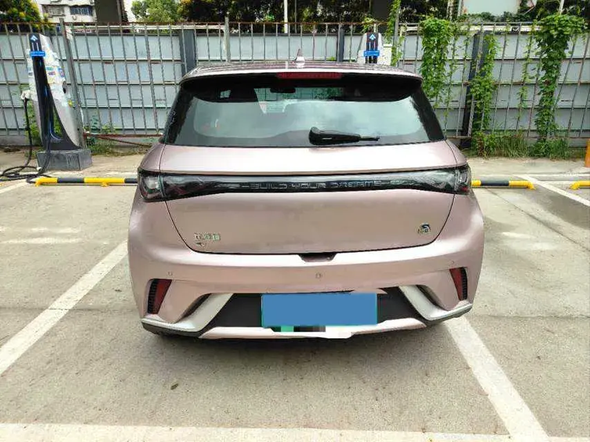 2023 BYD DOLPHIN thumbnail 3