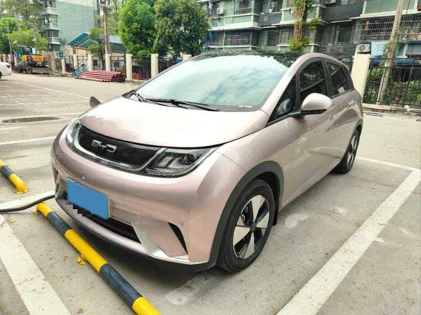 2023 BYD DOLPHIN view 1