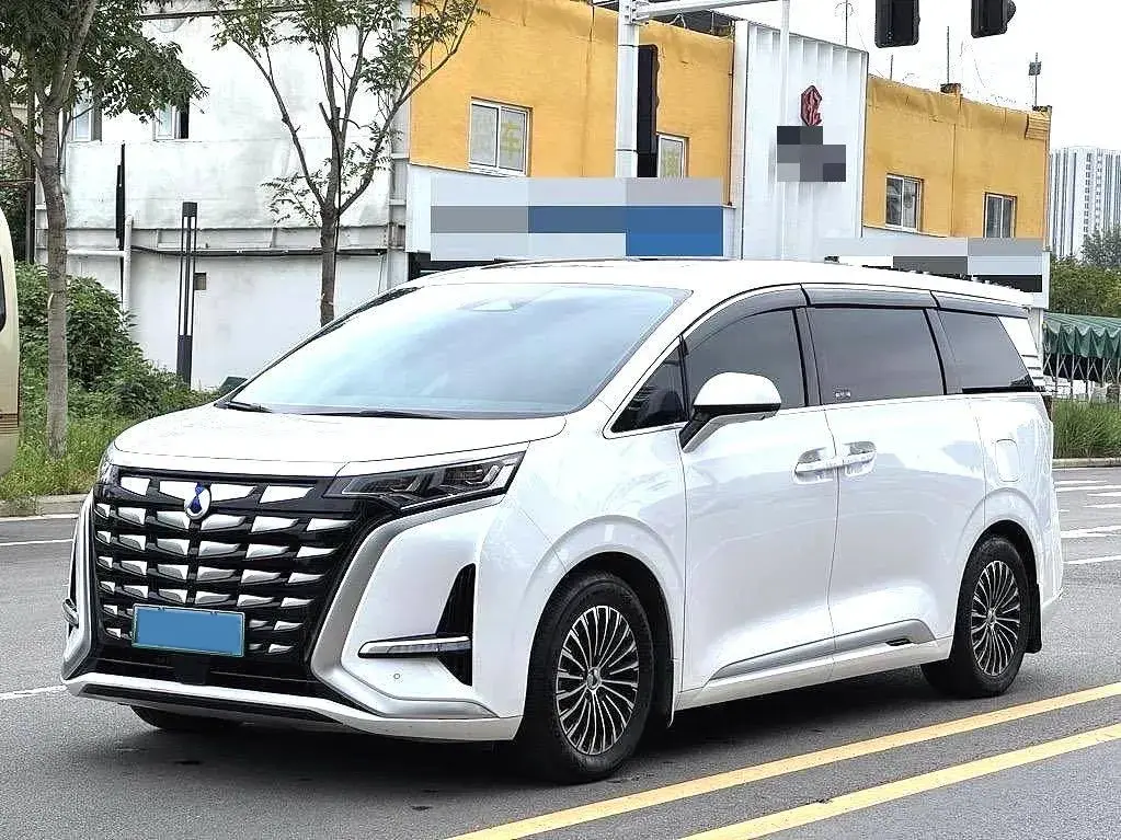 2022 DENZA D9 view 1