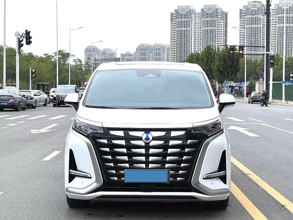 2022 DENZA D9 thumbnail 2