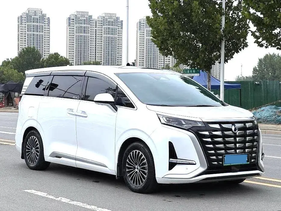 2022 DENZA D9 thumbnail 3