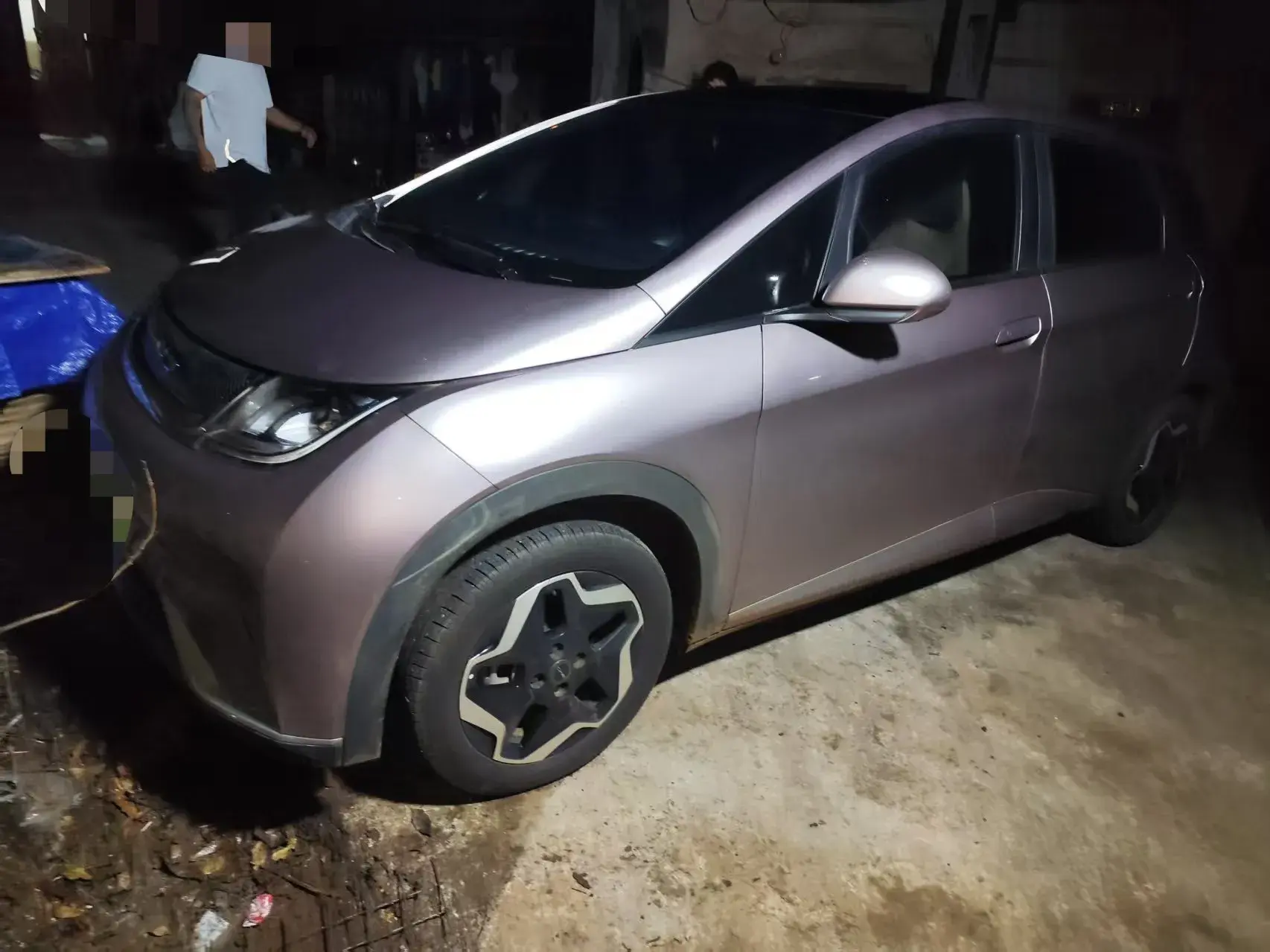 2021 BYD DOLPHIN view 1