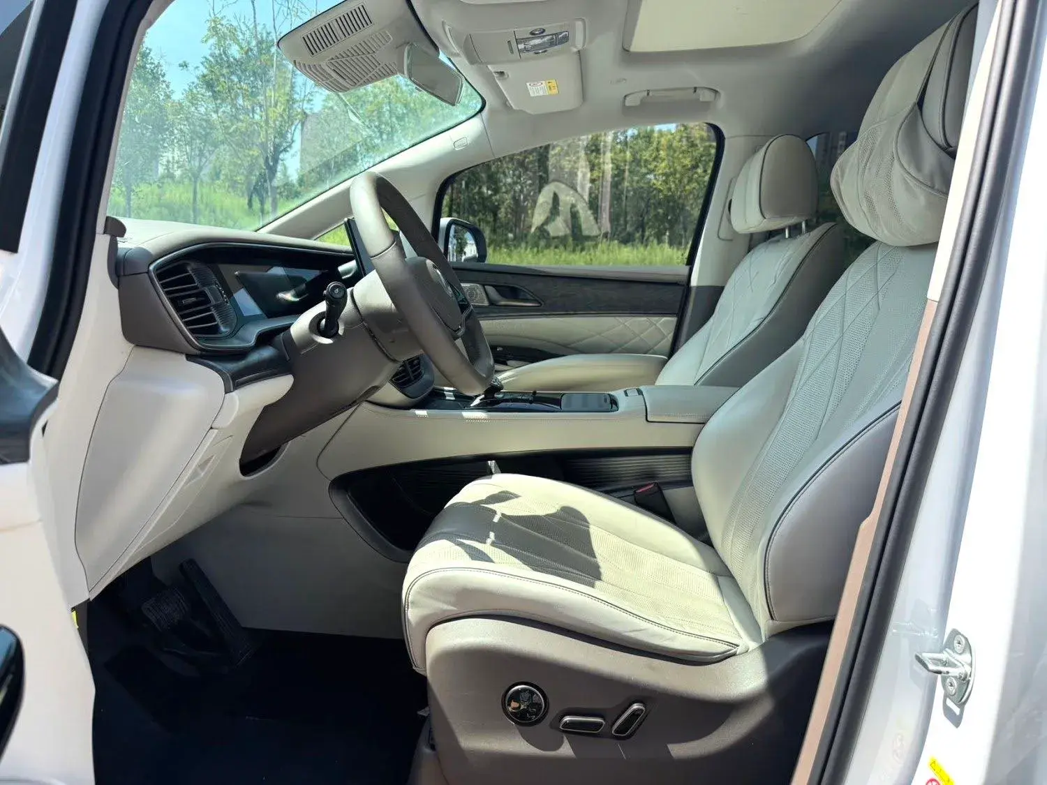 2022 DENZA D9 thumbnail 4