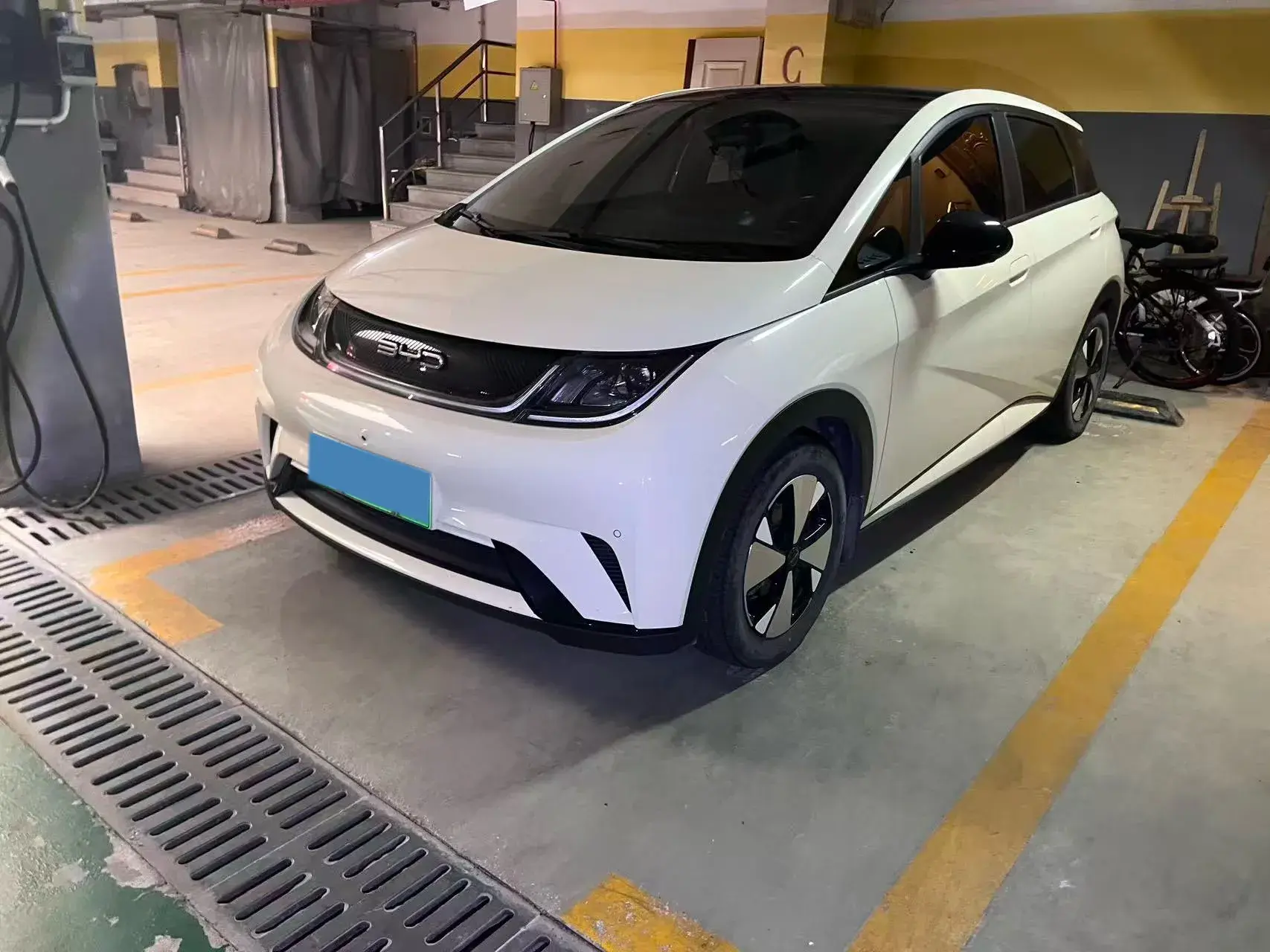 2023 BYD DOLPHIN view 1