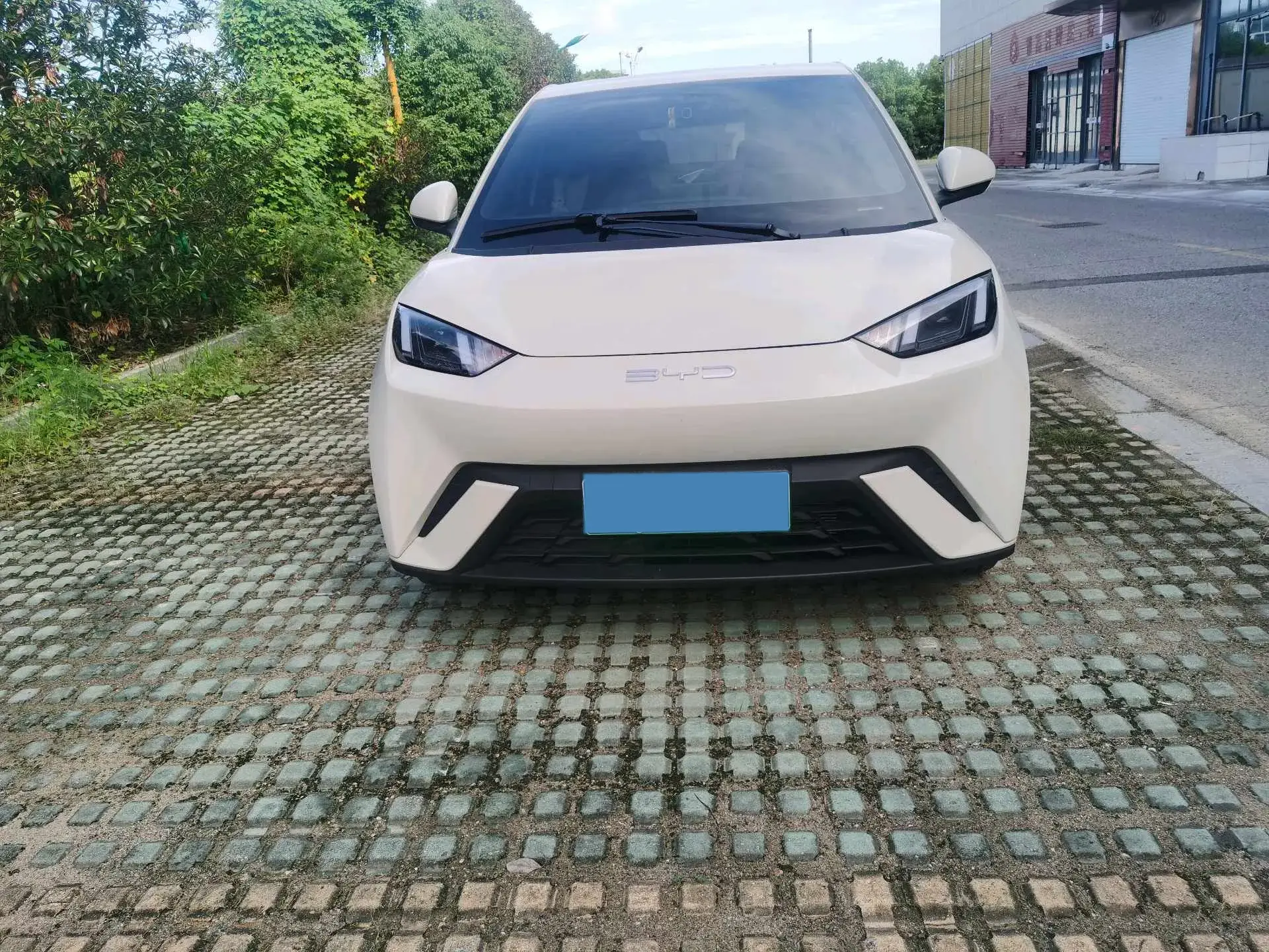 2023 BYD SEAGULL thumbnail 2