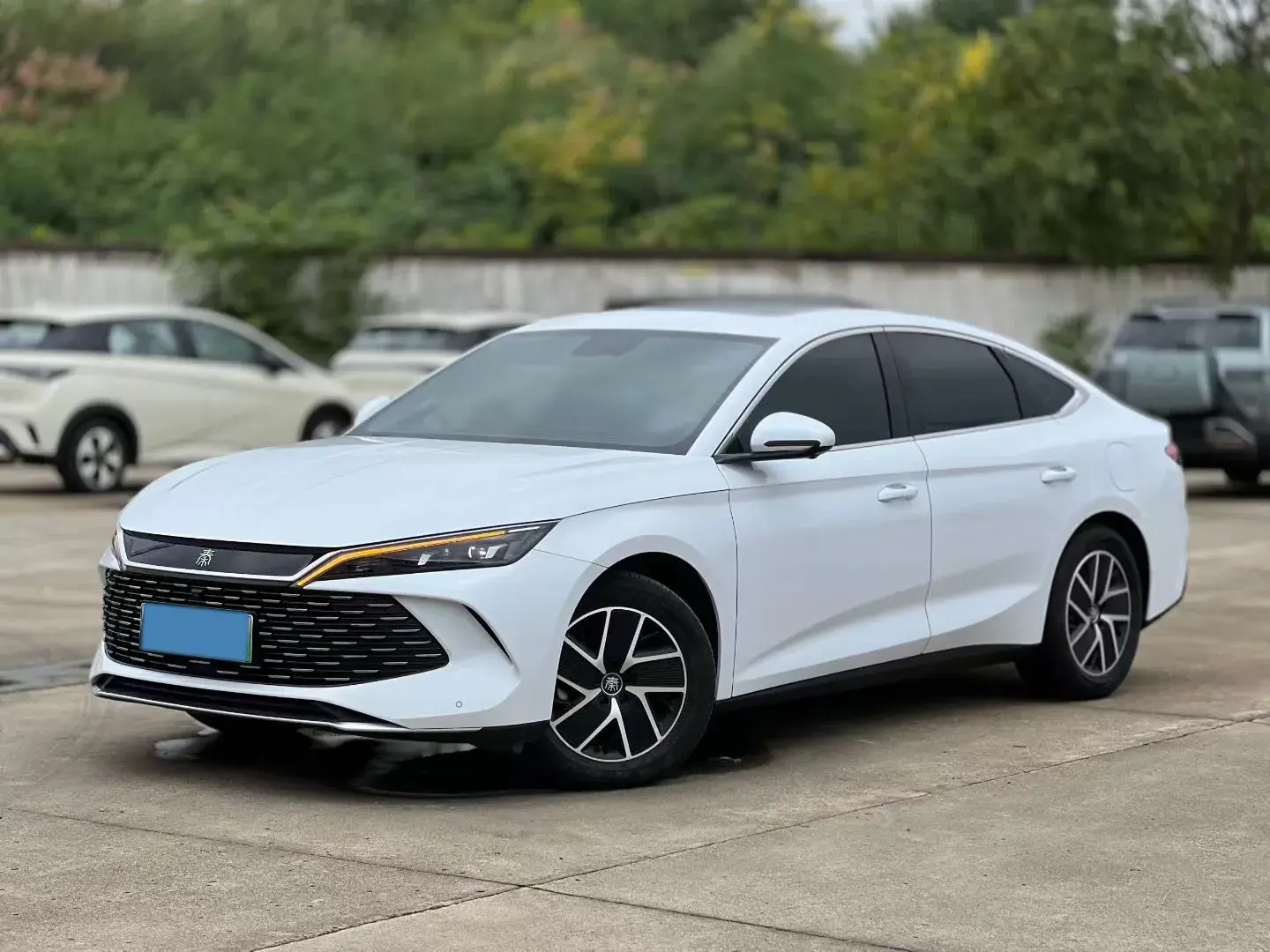 2024 BYD QINL view 1