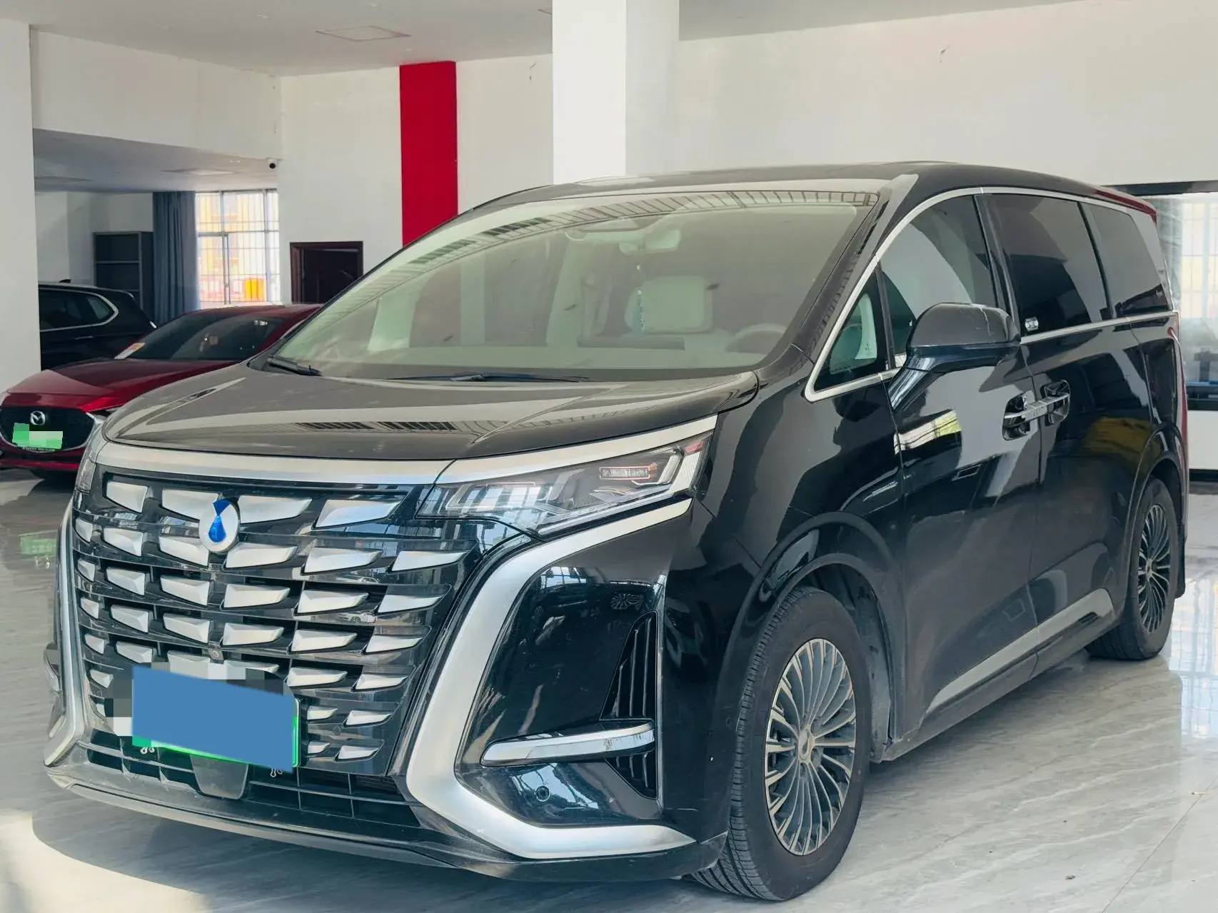 2022 DENZA D9 view 1