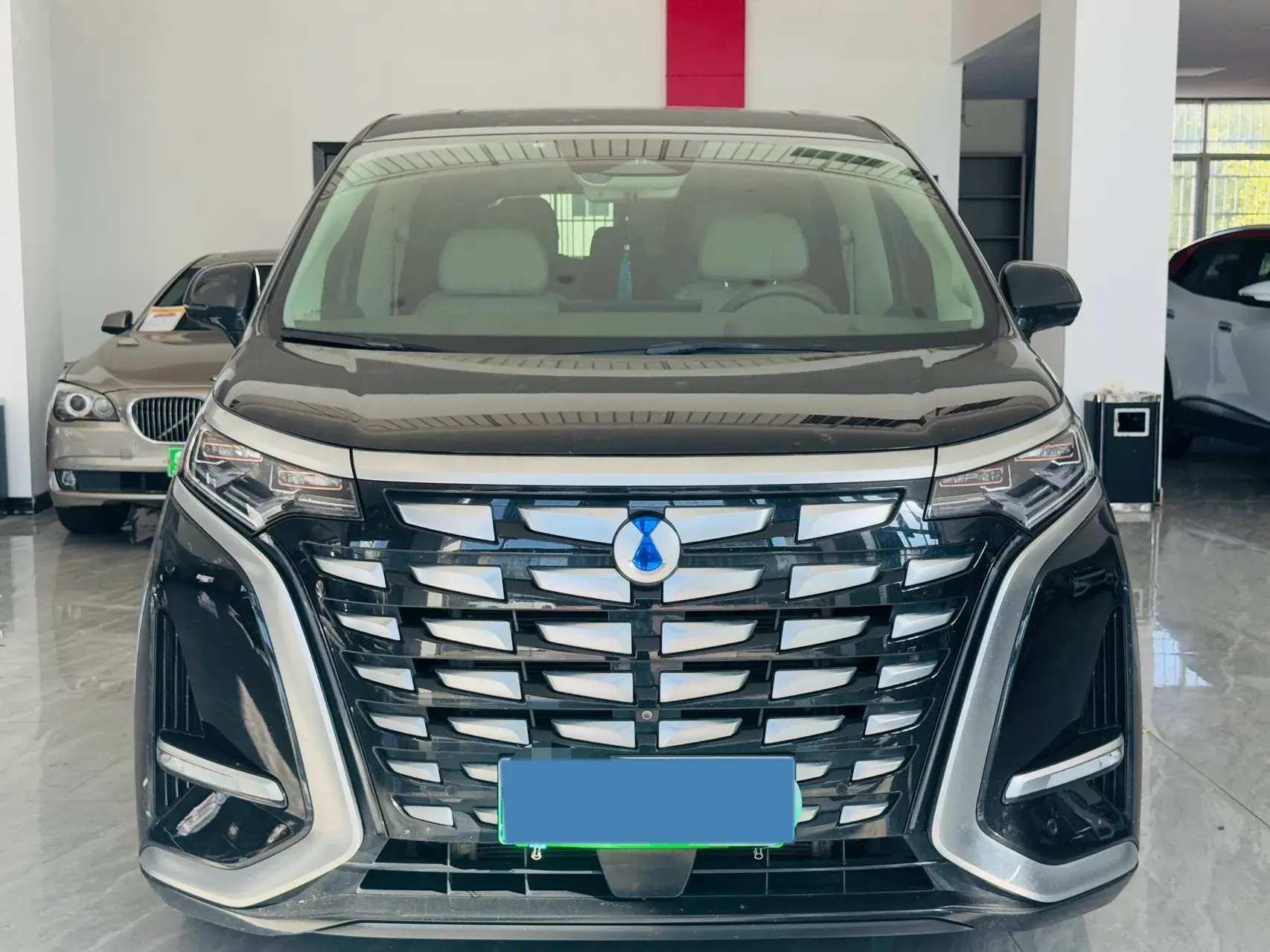 2022 DENZA D9 thumbnail 2