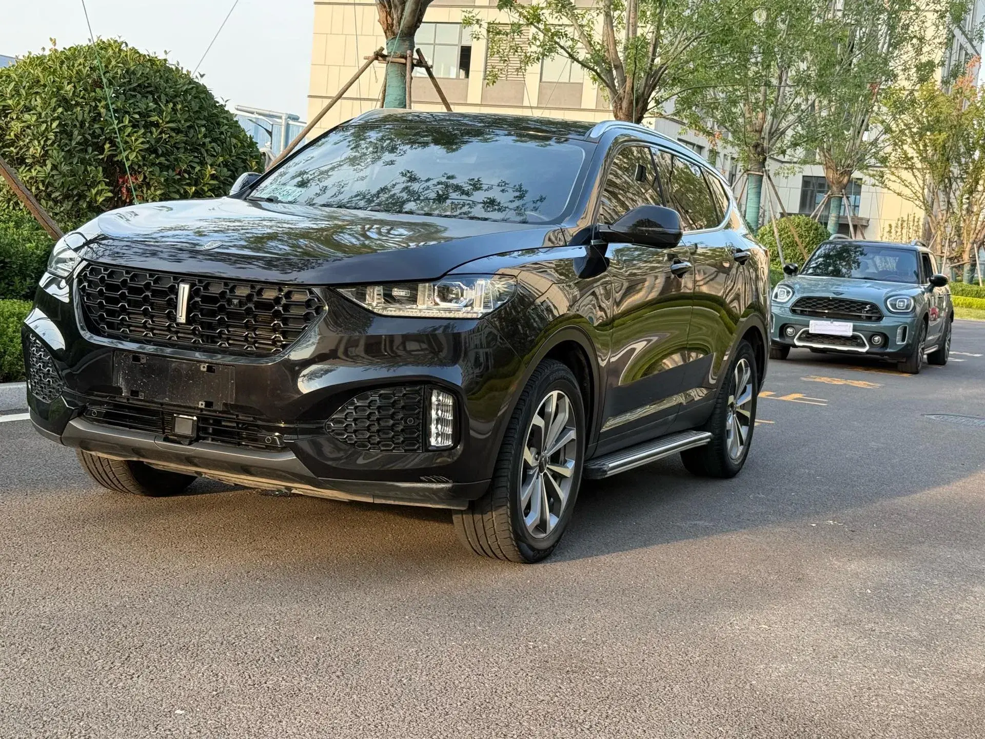 2019 WEY VV6 view 1