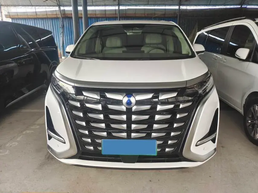 2022 DENZA D9 thumbnail 2