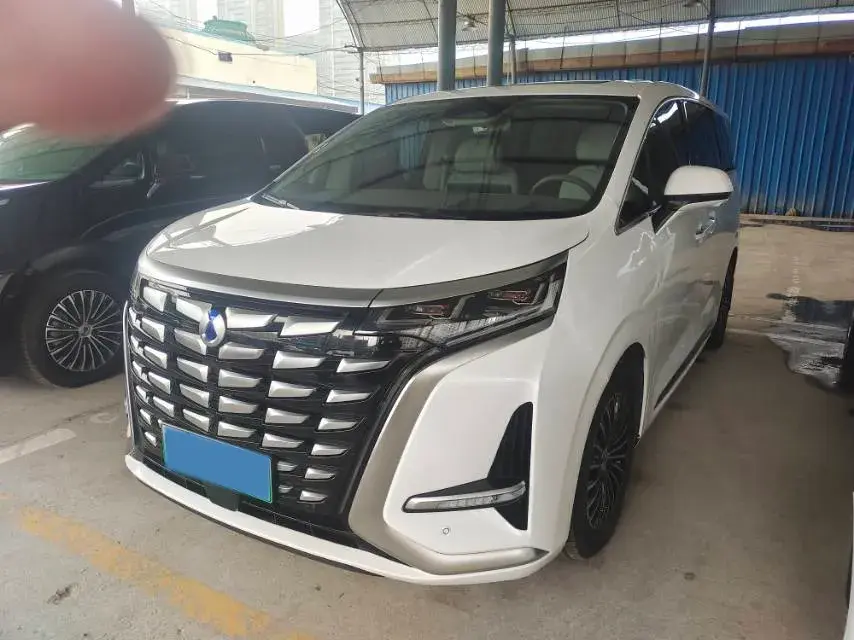 2022 DENZA D9 view 1