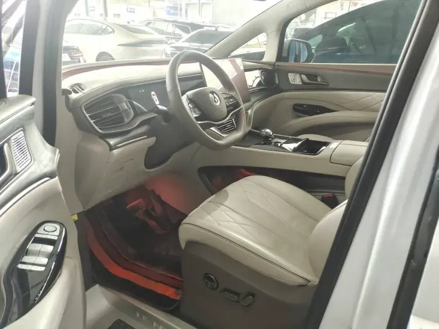 2022 DENZA D9 thumbnail 4