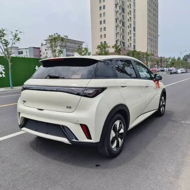 2025 BYD DOLPHIN thumbnail 4