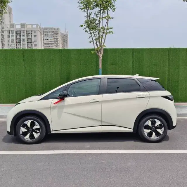 2025 BYD DOLPHIN thumbnail 2