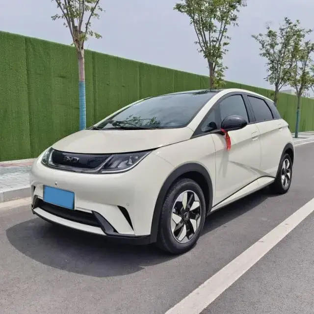 2025 BYD DOLPHIN view 1