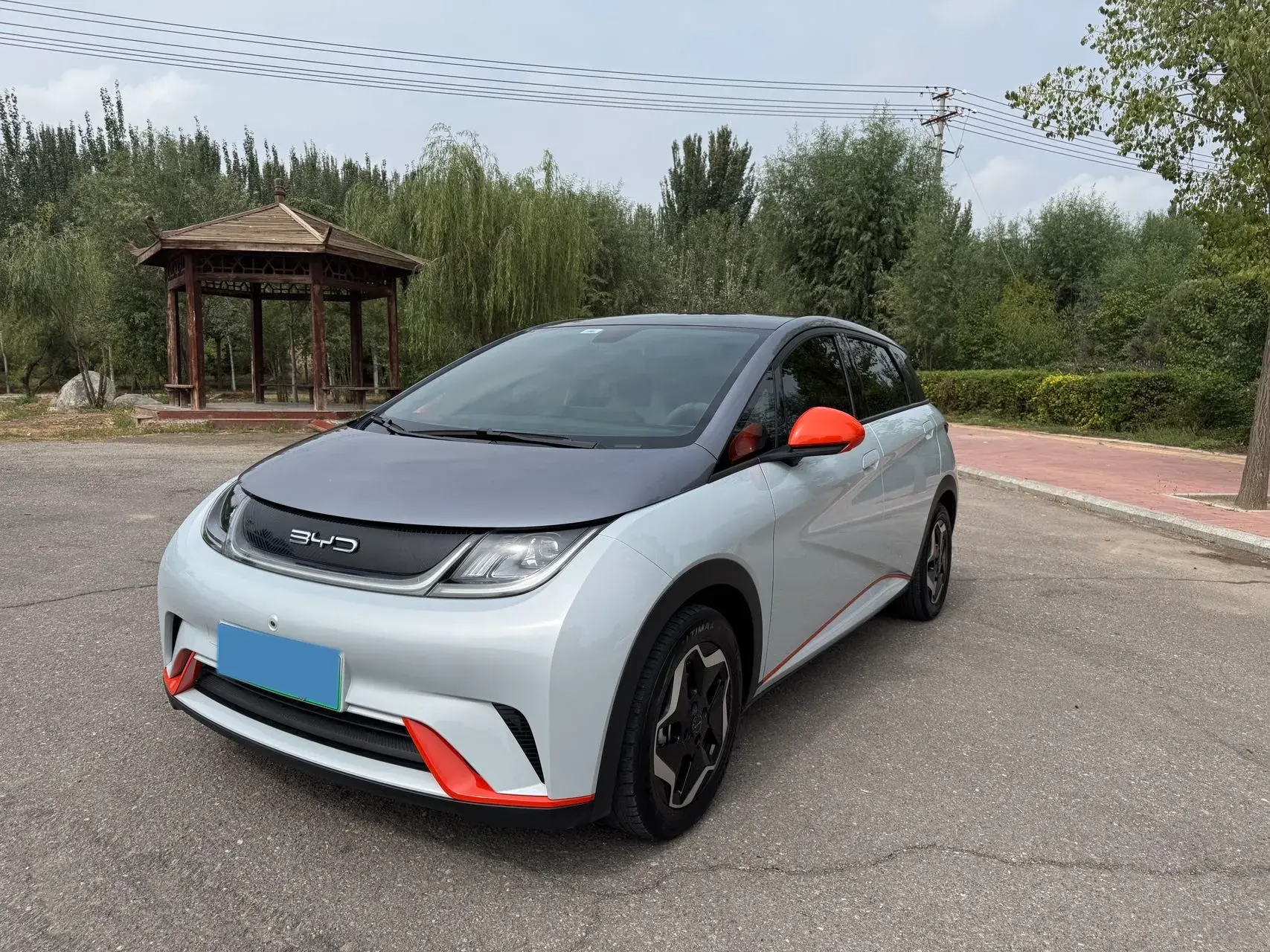 2021 BYD DOLPHIN view 1