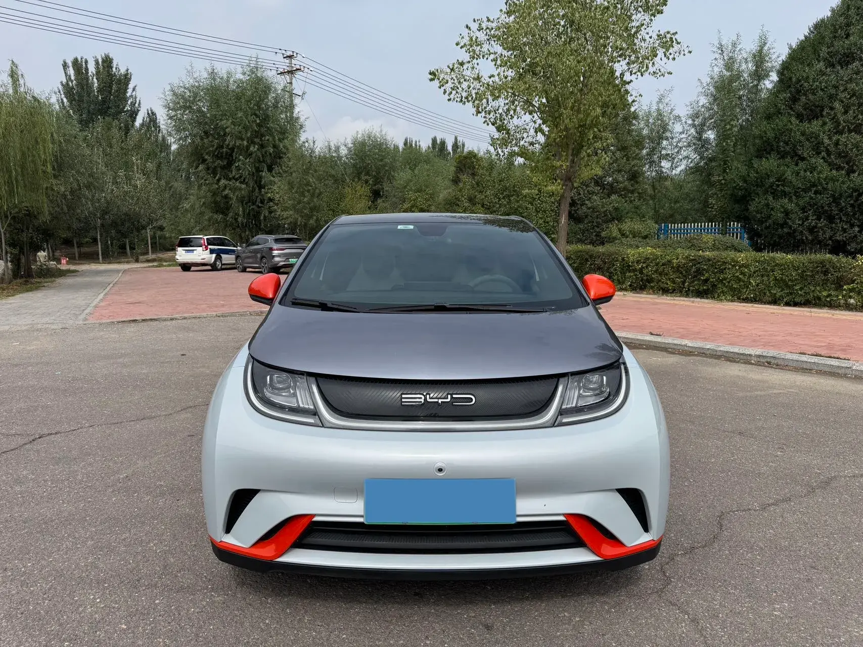 2021 BYD DOLPHIN thumbnail 2