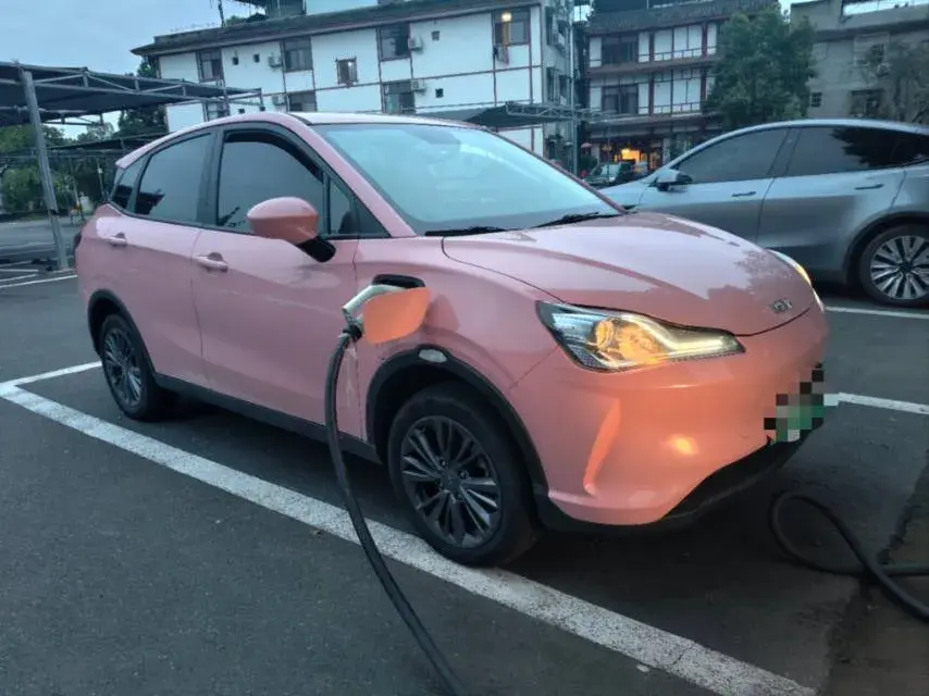 2021 NETA V thumbnail 3