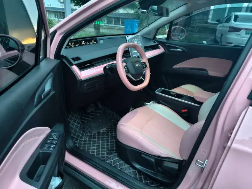 2021 NETA V thumbnail 4