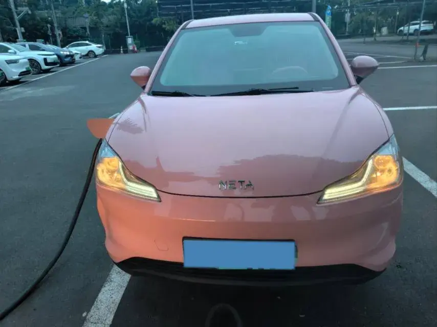 2021 NETA V thumbnail 2