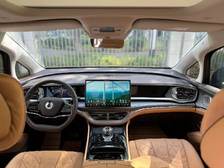 2024 DENZA D9 thumbnail 4