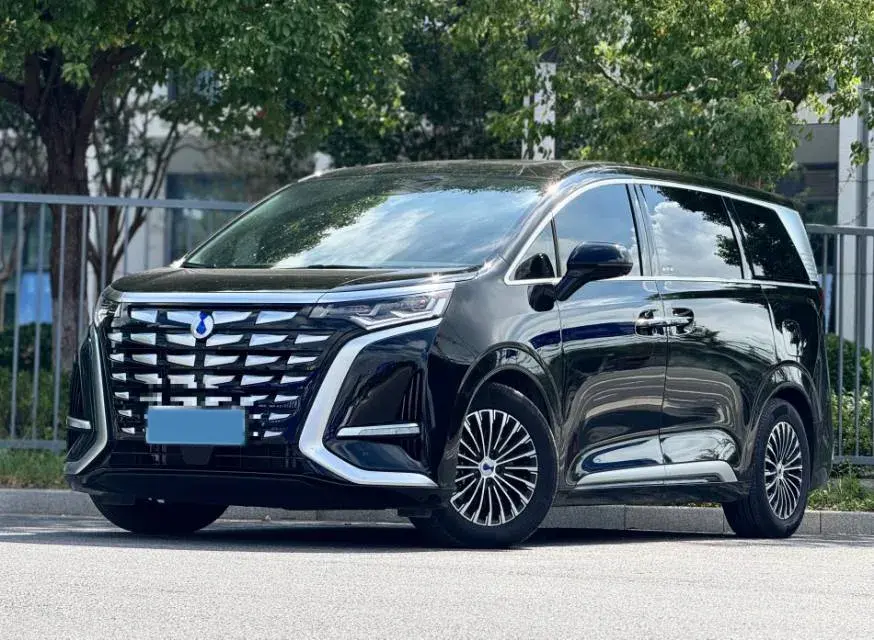 2024 DENZA D9 view 1