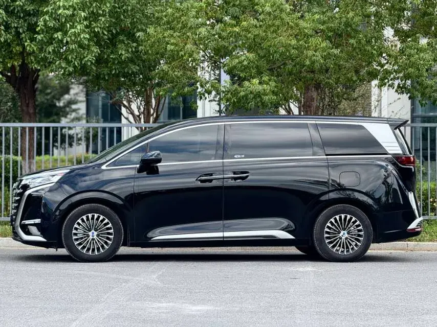 2024 DENZA D9 thumbnail 3