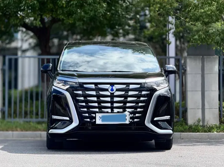 2024 DENZA D9 thumbnail 2