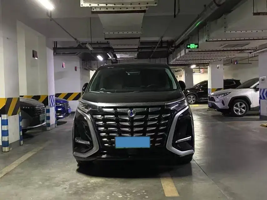 2022 DENZA D9 thumbnail 2