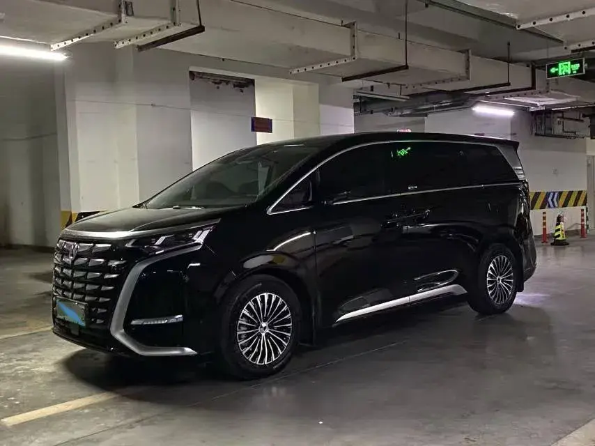 2022 DENZA D9 view 1