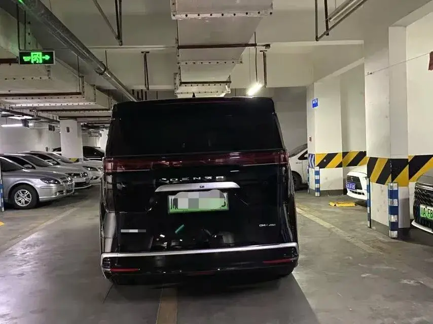 2022 DENZA D9 thumbnail 4